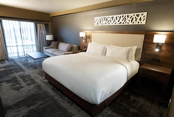 Room, 1 King Bed with Sofa bed