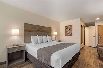 Standard Room, 1 King Bed, Accessible, Refrigerator & Microwave
