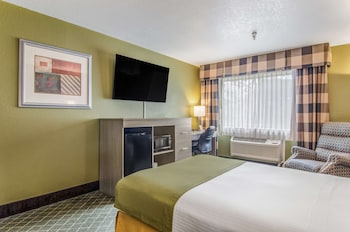 Room, 1 Double Bed, Accessible