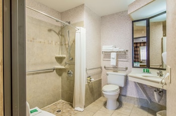 Room, 1 Double Bed, Accessible