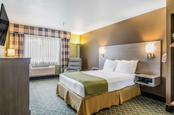 Premier Suite, 1 King Bed, Kitchenette