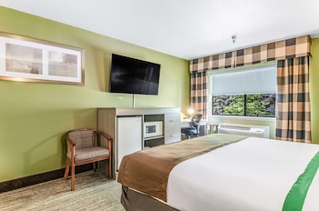 Romantic Suite, 1 King Bed, Jetted Tub