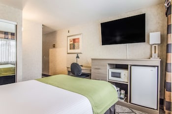 Standard Room, 1 Double Bed
