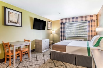 Premier Suite, 1 King Bed, Kitchenette