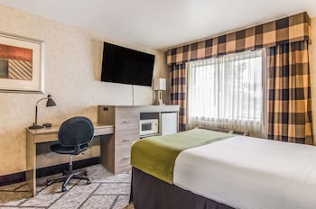 Room, 1 Double Bed, Accessible