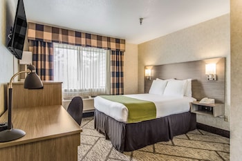 Standard Room, 1 Double Bed
