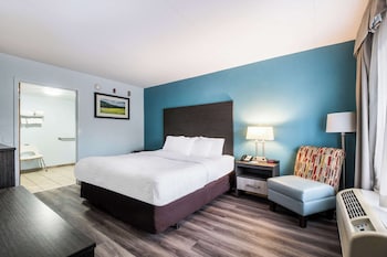 Room, 1 King Bed, Accessible, Non Smoking
