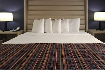 Room, 1 King Bed, Accessible