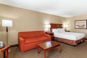Standard Room, 1 King Bed, Accessible, Bathtub