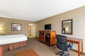 Standard Room, 1 King Bed, Non Smoking