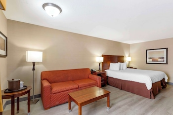 Standard Room, 1 King Bed, Non Smoking (Pet Friendly)