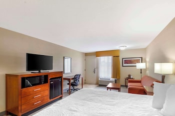 Standard Room, 1 King Bed, Non Smoking (Pet Friendly)