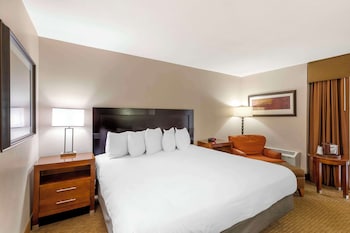 Standard Room, 1 King Bed, Non Smoking