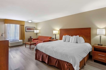 Standard Room, 1 King Bed, Non Smoking (Pet Friendly)