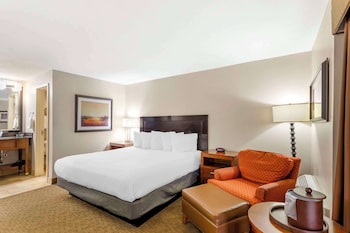 Standard Room, 1 King Bed, Non Smoking