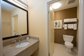 Room, 1 King Bed
