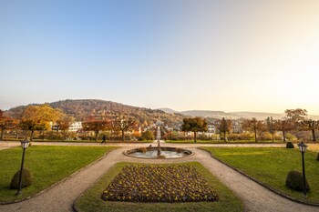 Comfort Suite, 1 Bedroom, Park View