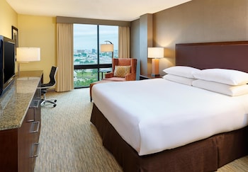Room, 1 King Bed