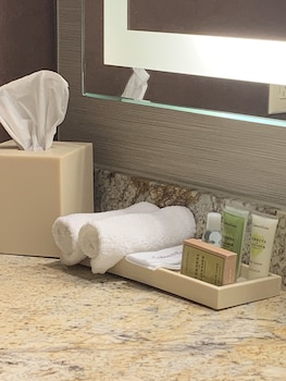 Room, 1 Double Bed, Accessible, Bathtub (Mobillty/Hearing)