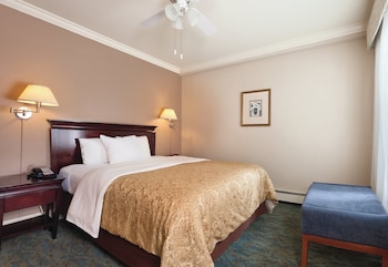 Superior Suite, 1 Queen Bed with Sofa bed