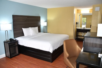 Suite, 1 Bedroom, Non Smoking