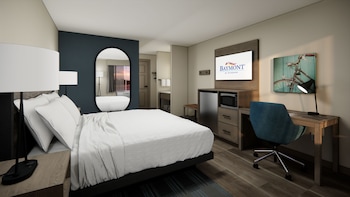 Room, 1 King Bed, Bathtub Grab Bars, Non Smoking (Mobility Accessible)
