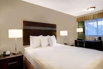 Room, 1 Queen Bed