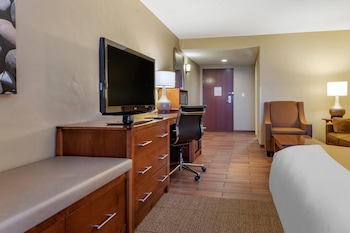 Suite , 1 King Bed Non Smoking, 1 Person Sofa Bed, No pets Allowed