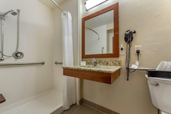Room, 1 King Bed, Accessible, Non Smoking