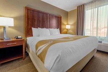 Suite , 1 King Bed Non Smoking, 1 Person Sofa Bed, No pets Allowed