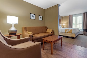 Suite , 1 King Bed Non Smoking, 1 Person Sofa Bed, No pets Allowed