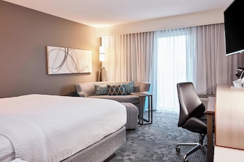 Room, 1 King Bed with Sofa bed (Hearing Accessible)