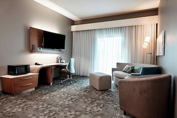 Room, 1 King Bed with Sofa bed (Hearing Accessible)