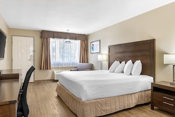 Standard Room, 1 King Bed, Non Smoking