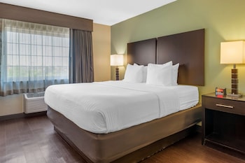 Standard Room, 1 King Bed, Non Smoking, Refrigerator & Microwave