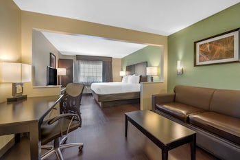 Suite, 1 King Bed, Non Smoking, Refrigerator & Microwave (with Sofabed)