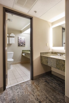Standard Room, 1 King Bed, Non Smoking, Refrigerator & Microwave (View)