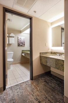Standard Room, 1 King Bed, Non Smoking, Refrigerator & Microwave (View)