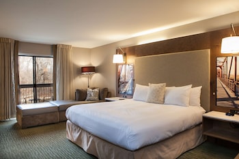 Standard Room, 1 King Bed, Refrigerator & Microwave, River View
