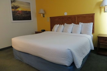 Room, 1 King Bed, Accessible (Mobility/Hearing/Roll-In Shower)