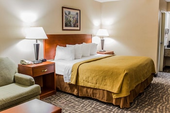 Standard Room, 1 King Bed, Non Smoking