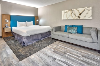 Standard Room, 1 King Bed with Sofa bed, Non Smoking