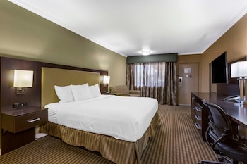 Basic Single Room