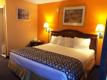 Suite, 1 King Bed, Non Smoking