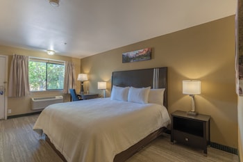 Standard Room, 1 King Bed, Accessible, Non Smoking