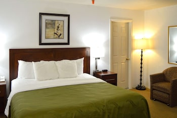 Standard Room, 1 King Bed, Non Smoking