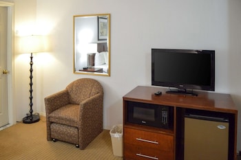 Room, 1 King Bed with Sofa bed, Non Smoking (2 person Sofa bed)