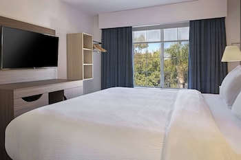Suite, 1 Bedroom