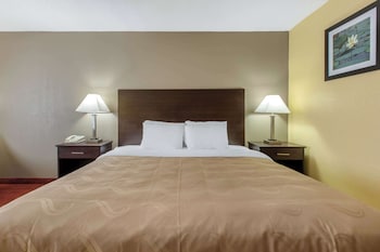Room, 1 King Bed, Accessible, Non Smoking