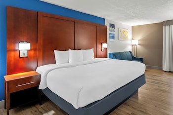 Standard Room, 1 King Bed, Non Smoking